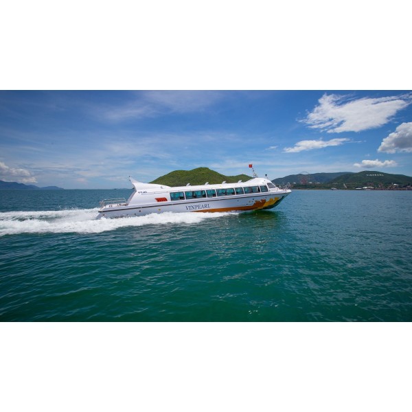 Passenger Ship P19