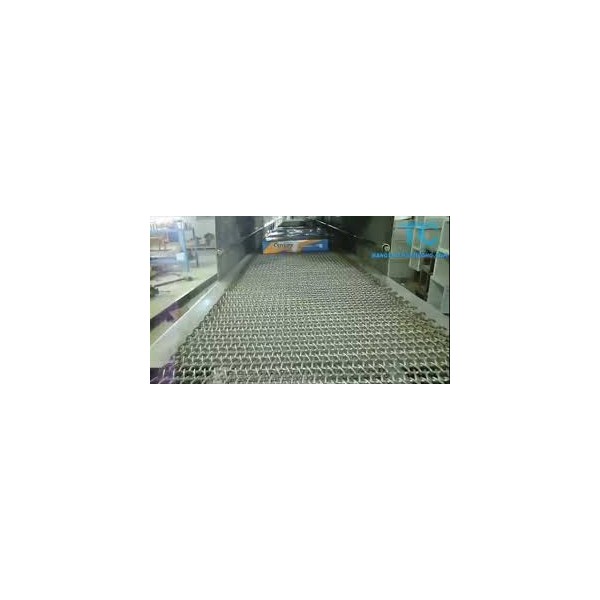 Băng tải xích inox