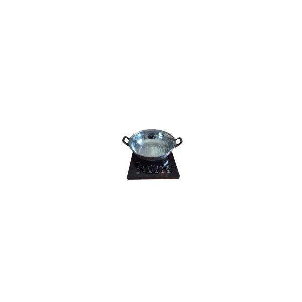 Induction Cooker / Electric Pot