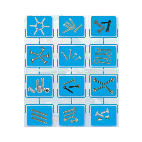 Screws and Bolts