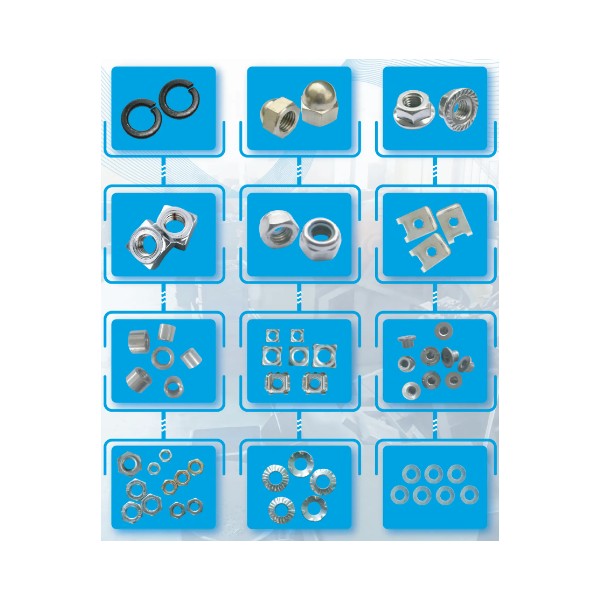Nut and Washer