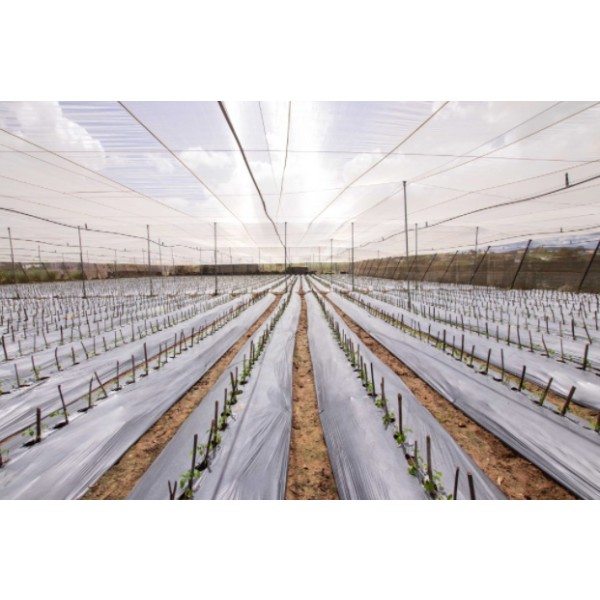 Agricultural film
