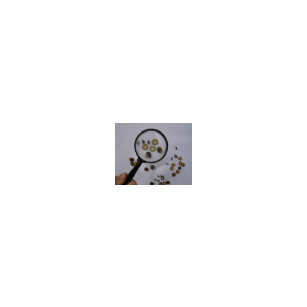 Clock gear