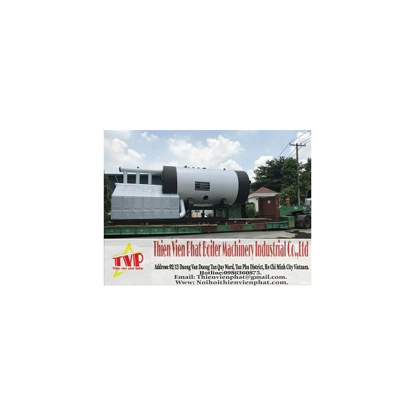 Multi-fuel boiler