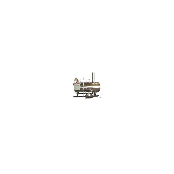 Horizontal coal-fired boiler