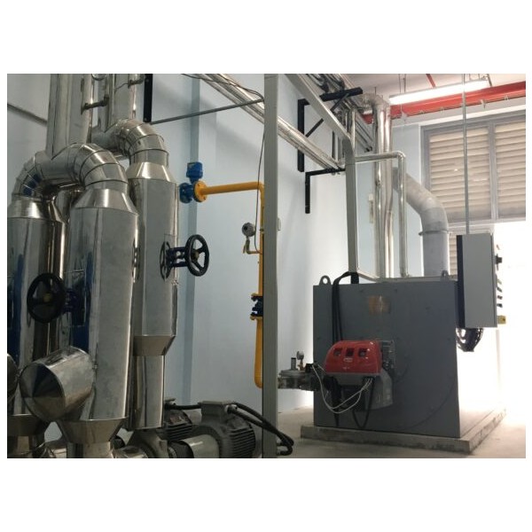 Thermal oil heater