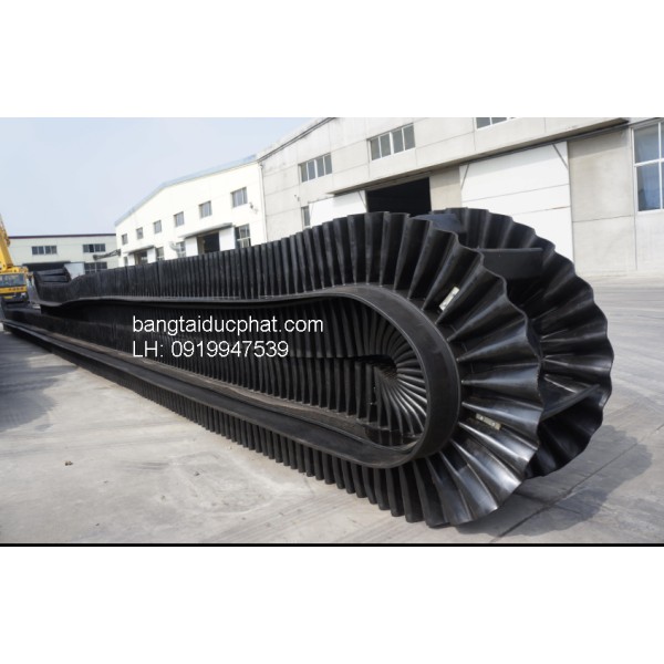 Sidewall Conveyor