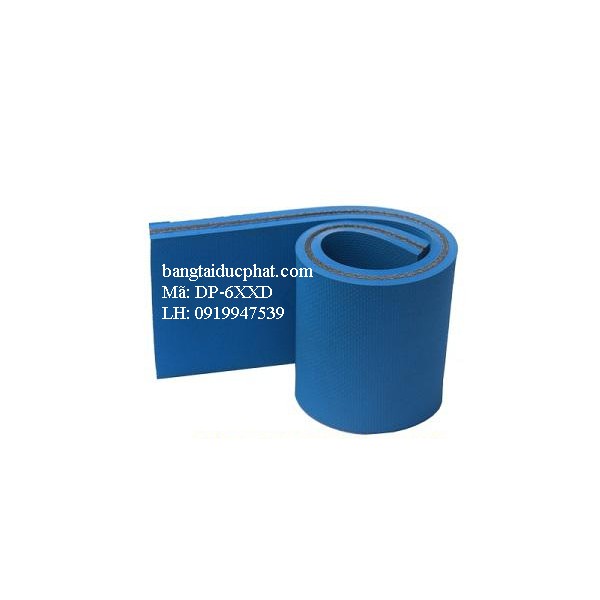 DÂY ĐAI DẸT MÃ SỐ DP-6XXD