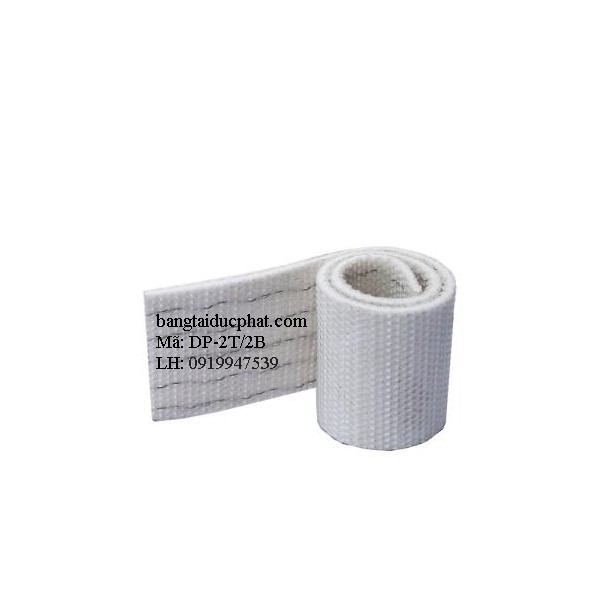 DP-2T / 2B Băng tải công nghiệp thực phẩm