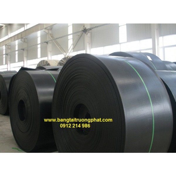 Plain Rubber Conveyor