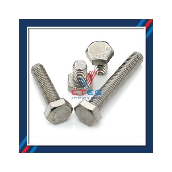 bulong inox 304