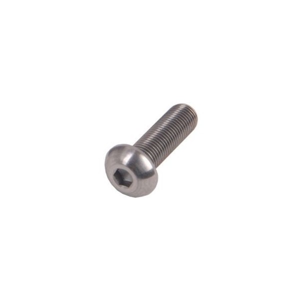 BU LÔNG LỤC GIÁC CHÌM ĐẦU CẦU INOX DIN 7380