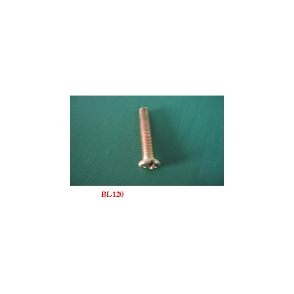 Bolt