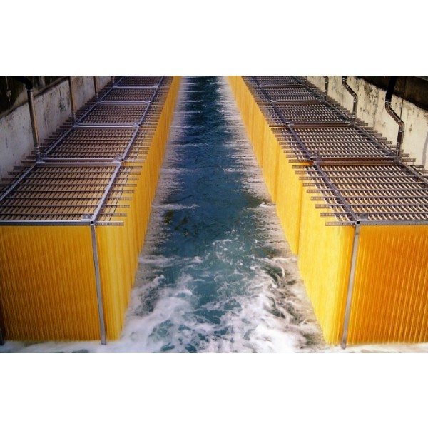 Cleartec®BioCurlz-Germany