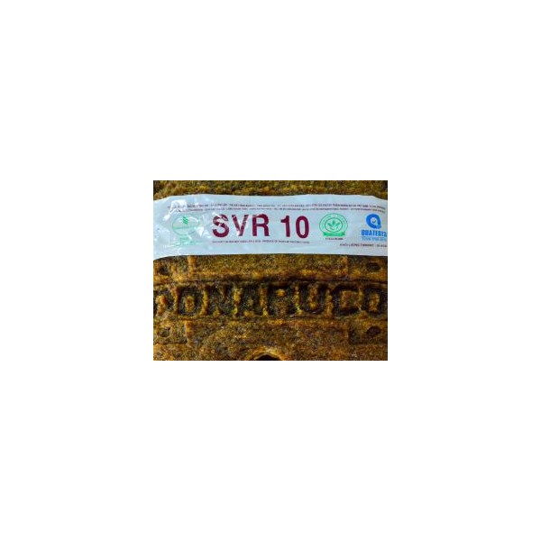 SVR 10