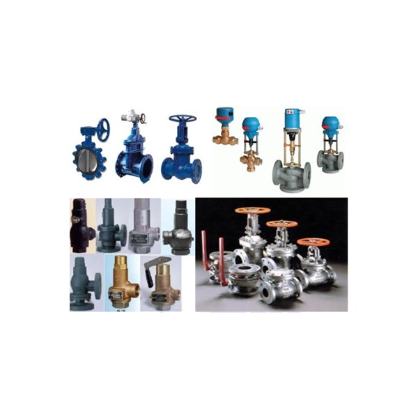 Industrial Valve