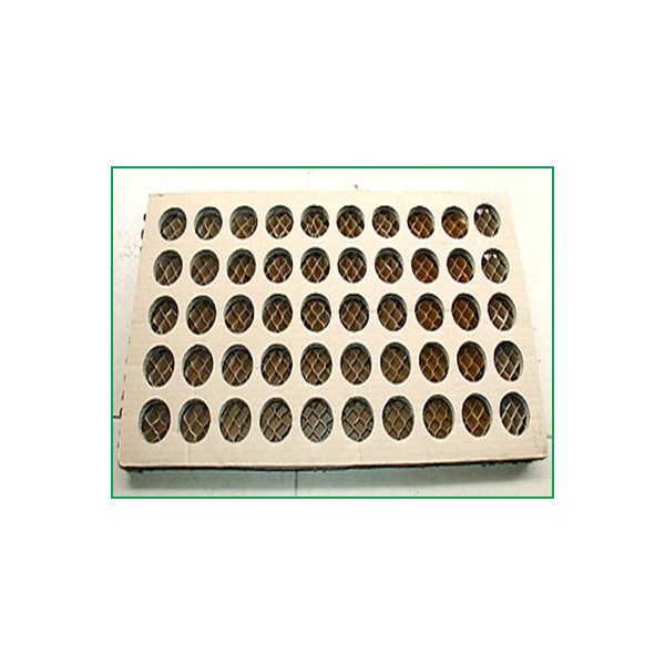 Pallet giấy tổ ong