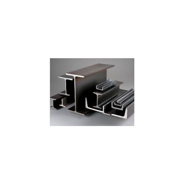 Section steel