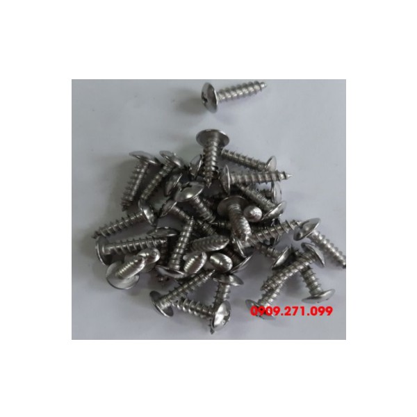 Screw