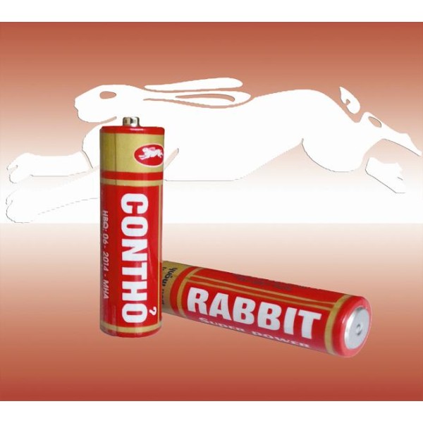 R6 red label battery