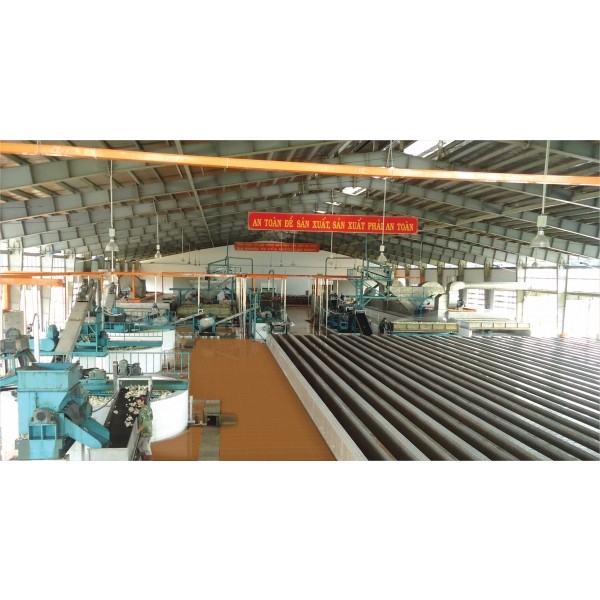 Dây chuyền chế biến mủ cao su SVR 10/20