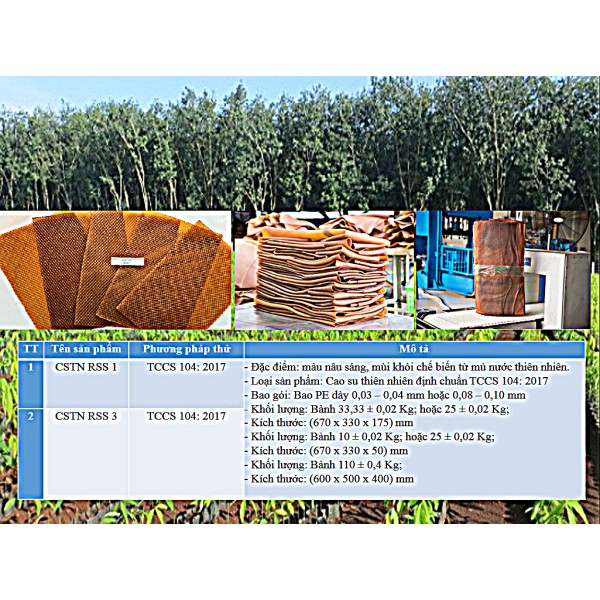 CÔNG TY TNHH MỘT THÀNH VIÊN CAO SU BÌNH LONG