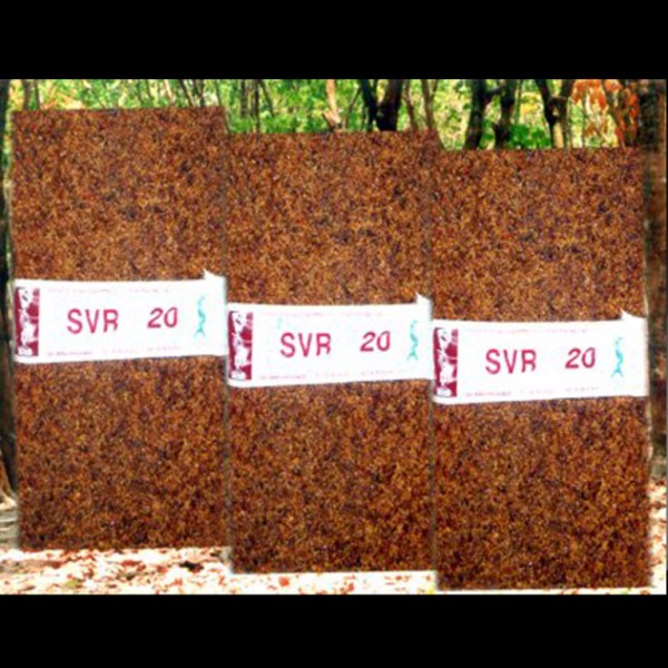 SVR 20