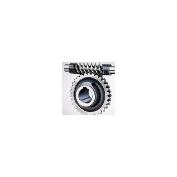 Worm Gear Screw