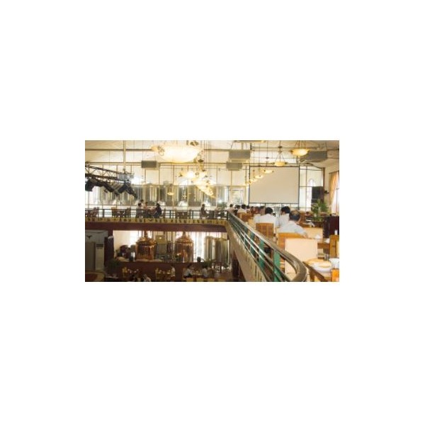 Beer server for restaurants