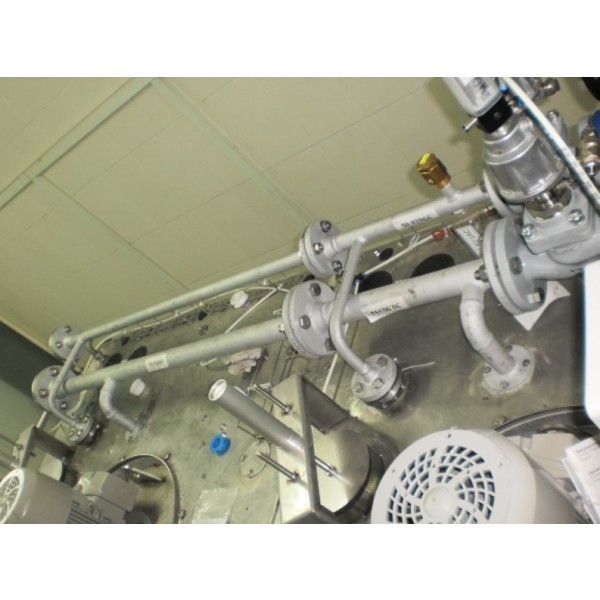 Biogas Combustion System