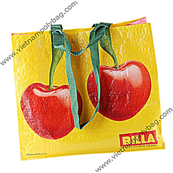 Túi tái sử dụng