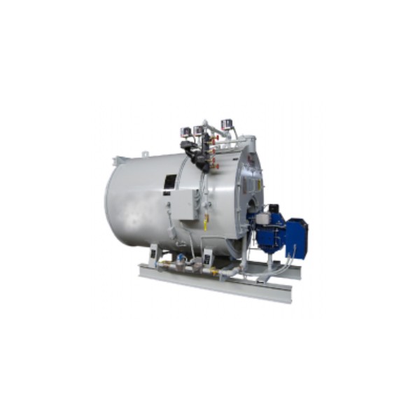 Multi-fuel boiler