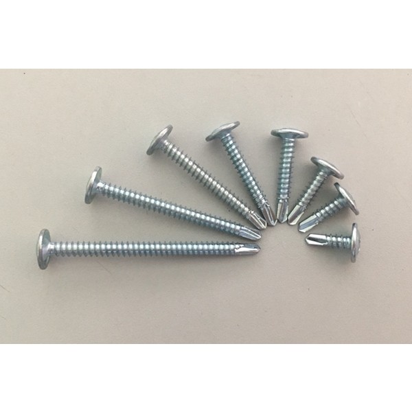 Screw