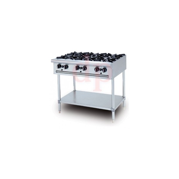 BẾP ÂU 6 HỌNG