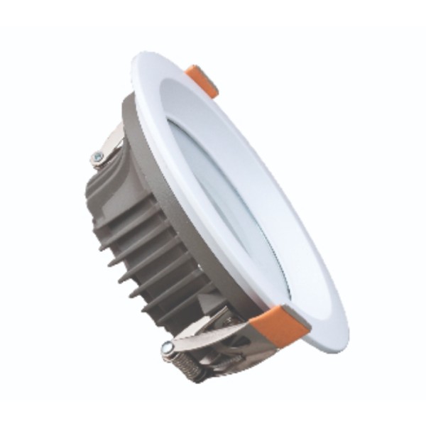 Downlight Ceiling Light