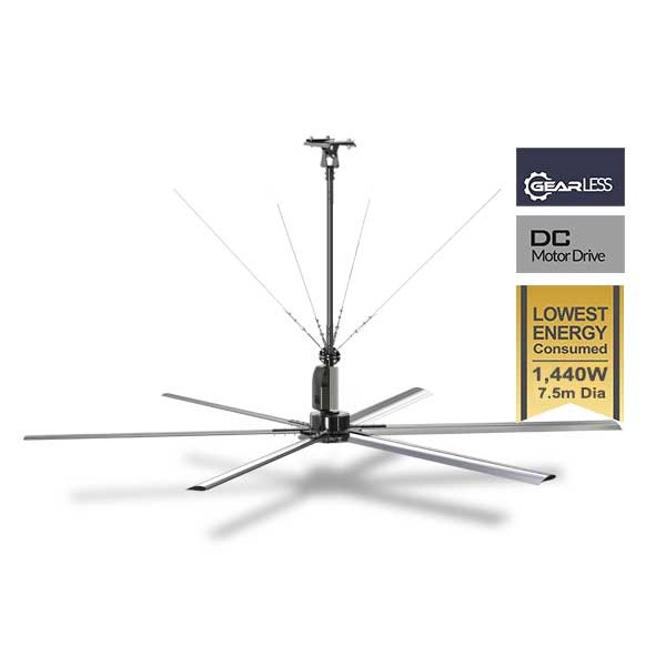 Large Ceiling Fan