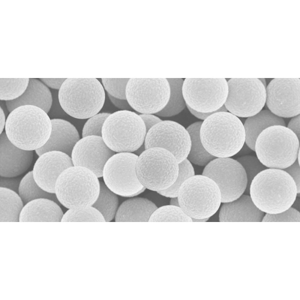 Polymer nanoparticle