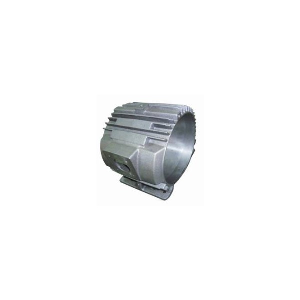 Thân động cơ điện S253