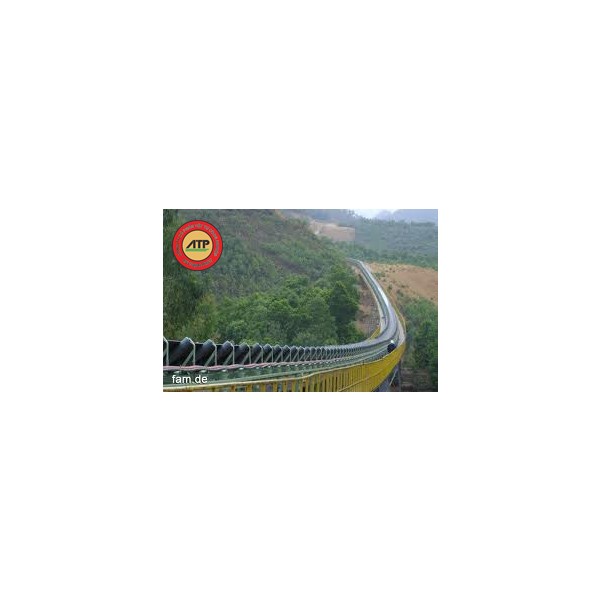 BĂNG TẢI CÁP THÉP