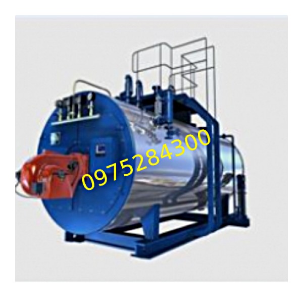 Nồi Hơi Đốt Dăm Gỗ Tự Động