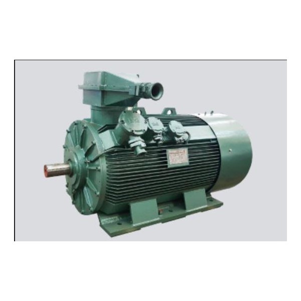 Explosion-proof electric motor