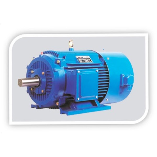 Inverter duty motor