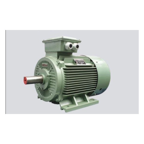 3-PHASE SQUIRREL CAGE MOTOR
