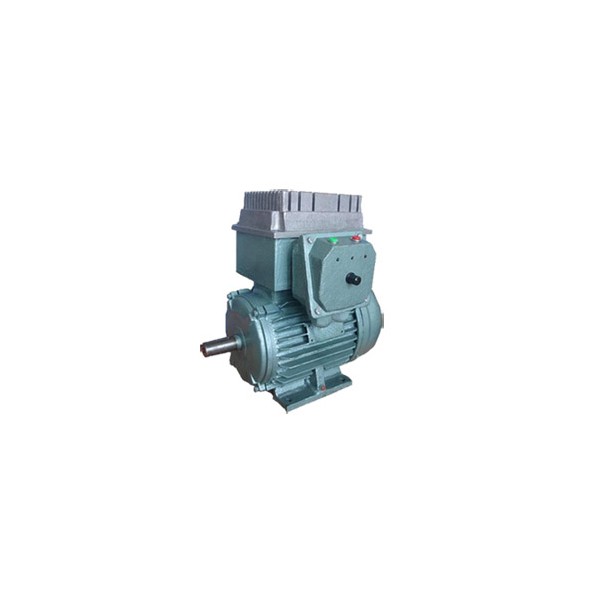Smart Motor