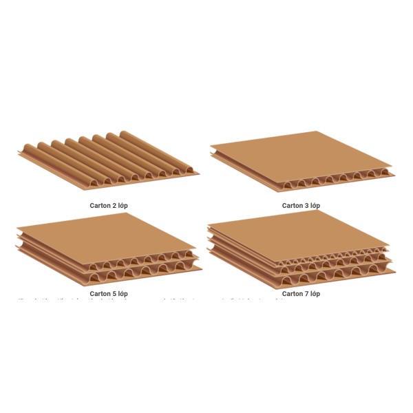 Carton packaging