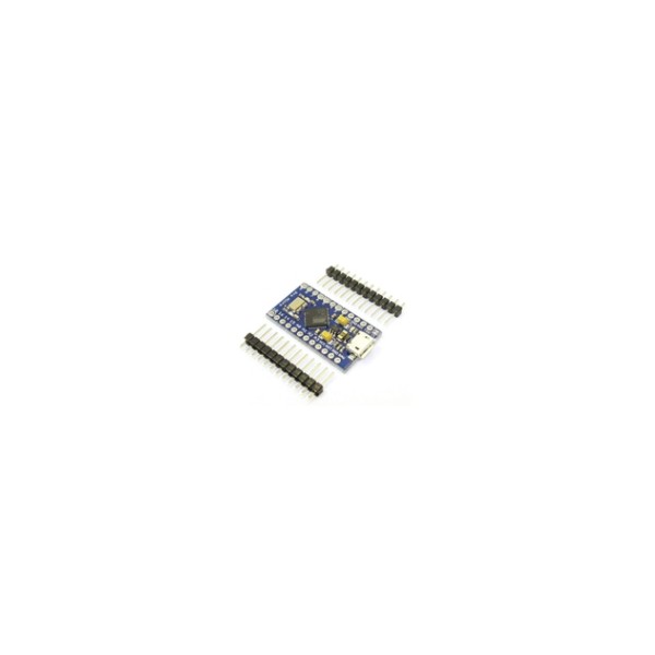 Module Arduino