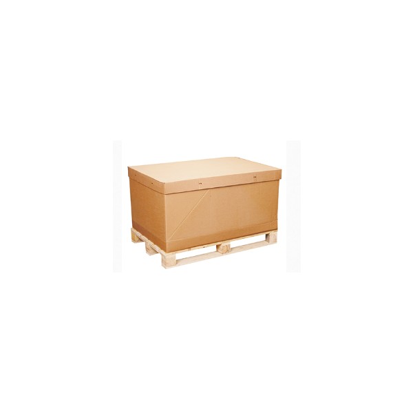 Hộp carton