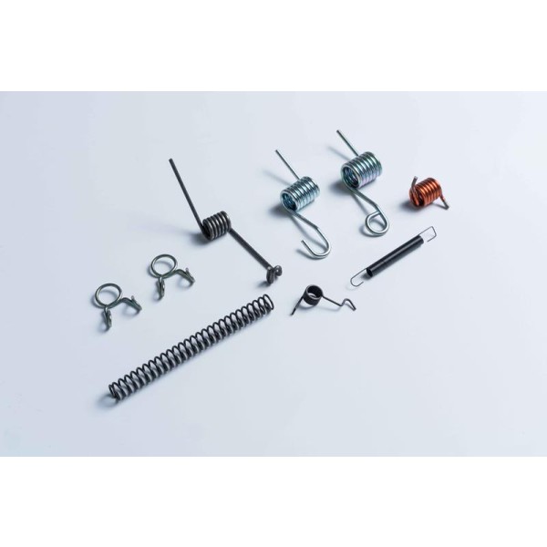 Torsion spring