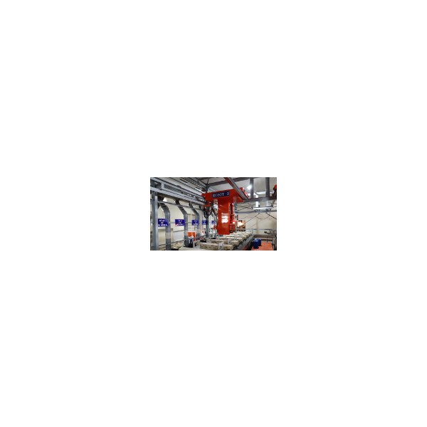 Automatic plating line