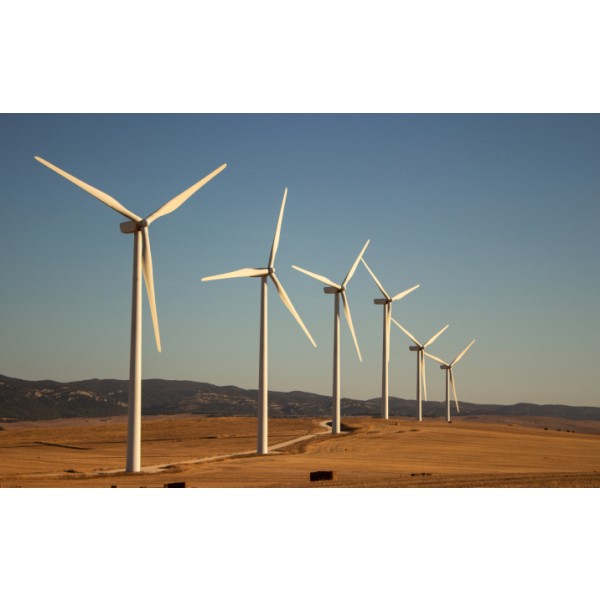 Copper Mountain Energy JSC